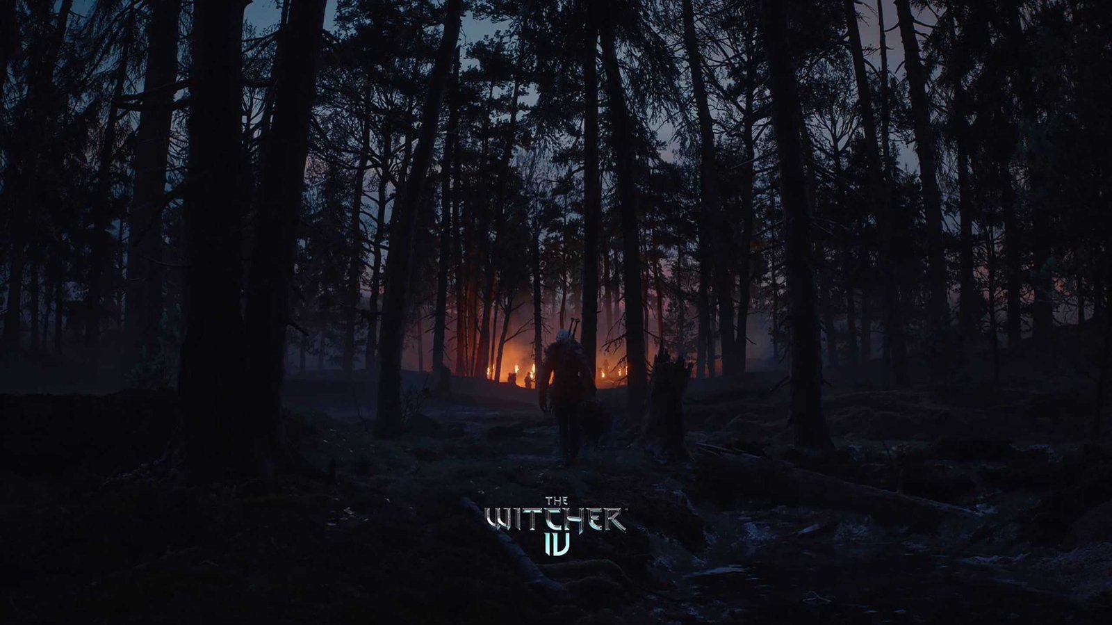 What to expect from The Witcher 4