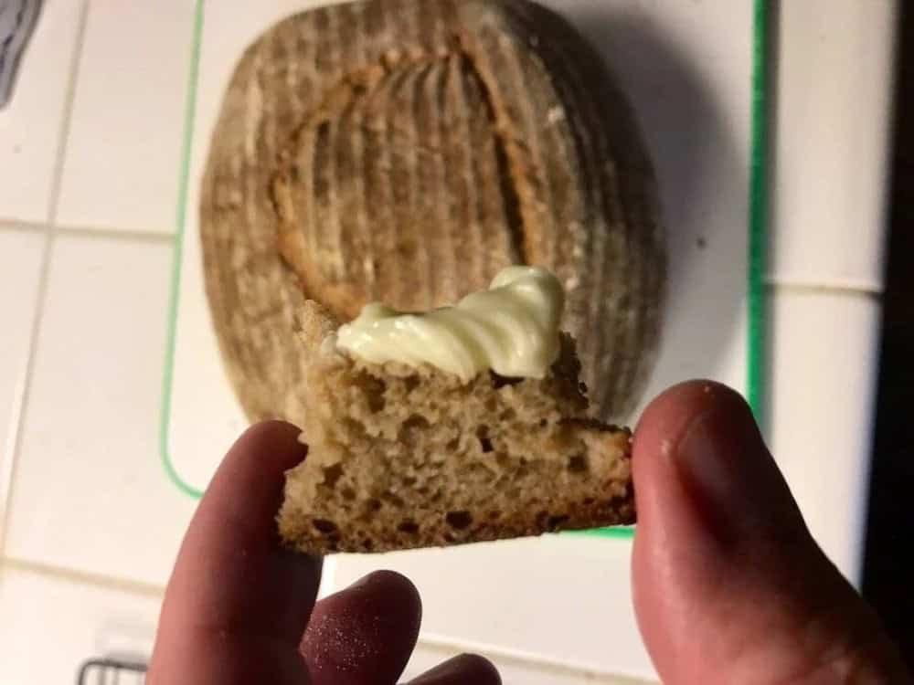 Xbox creator bakes bread with 4,500-year-old Egyptian yeast